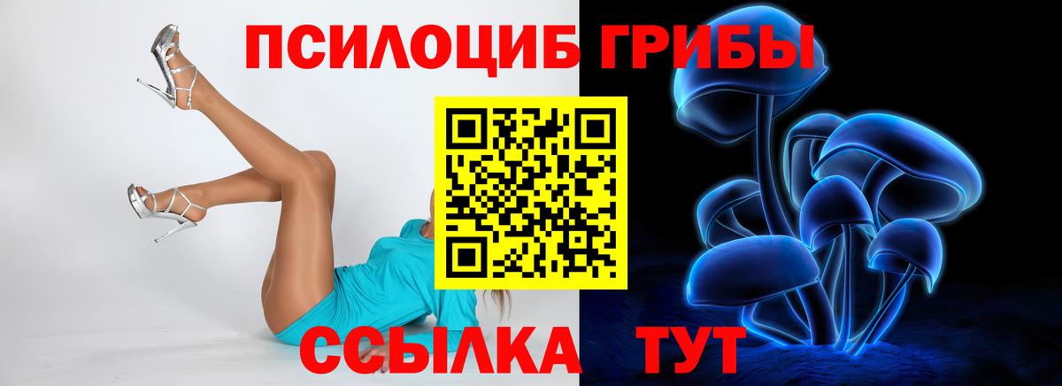 Галлюциногенные грибы Psilocybe Валуйки